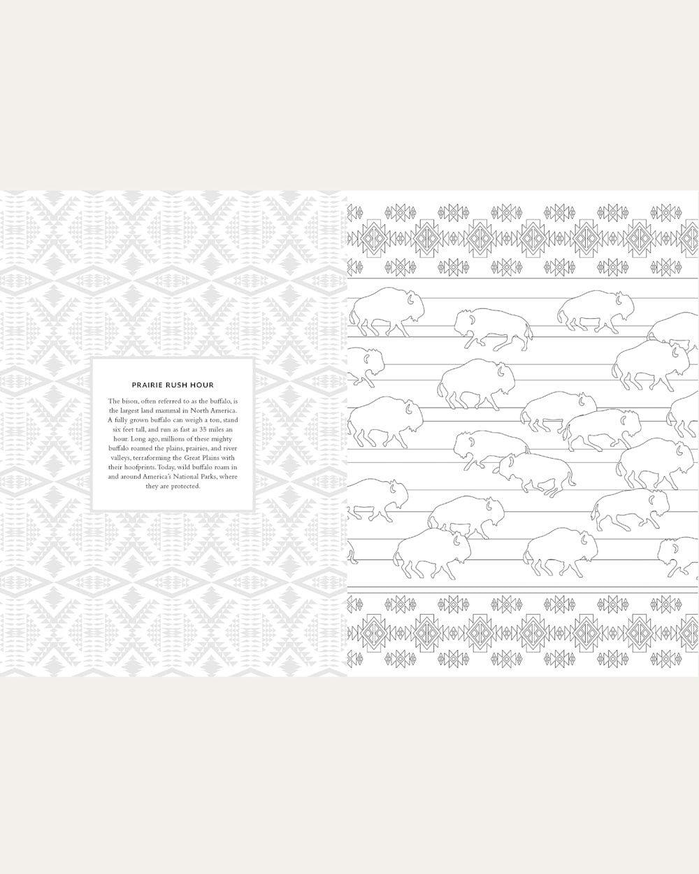 Pendleton Shop The Pendleton Coloring Book With Blanket Designs