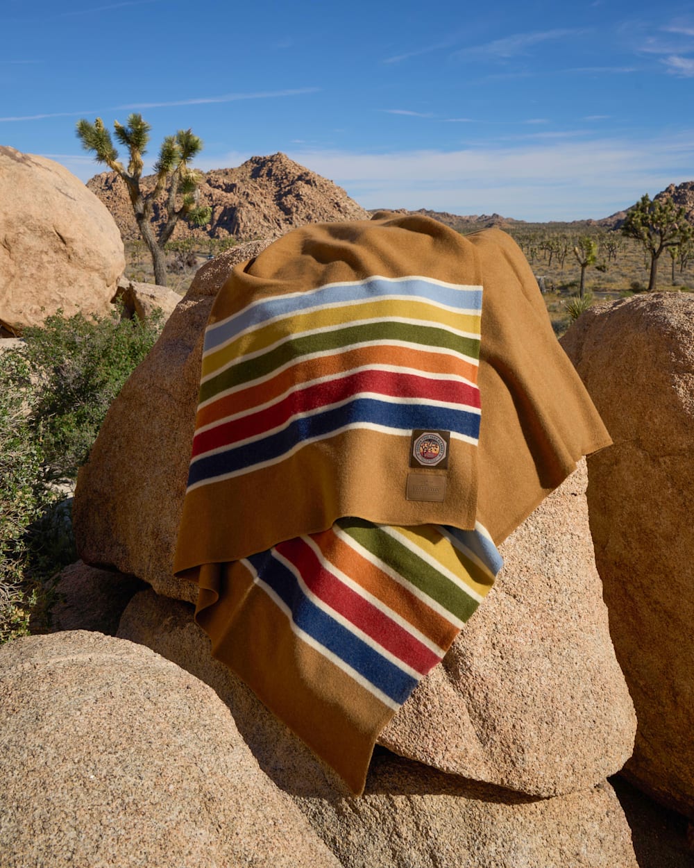 Pendleton Shop the Joshua Tree National Park Blanket - Wool Blankets