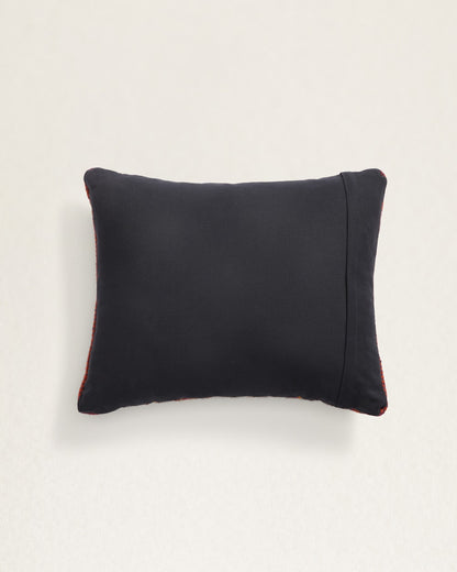Pendleton Checkout Western Style Home Decor with Rodeo Pillow