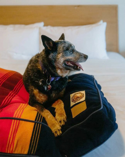 Pendleton Shop Grand Canyon National Park Pet Bed Napper for Comfort