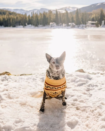 Pendleton Buy Westerley Pet Sweater Iconic Cozy Knit for Pets