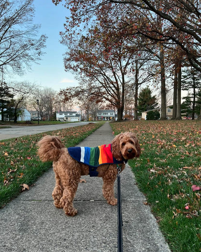 Pendleton Shop Stylish Crater Lake Pet Vest Now