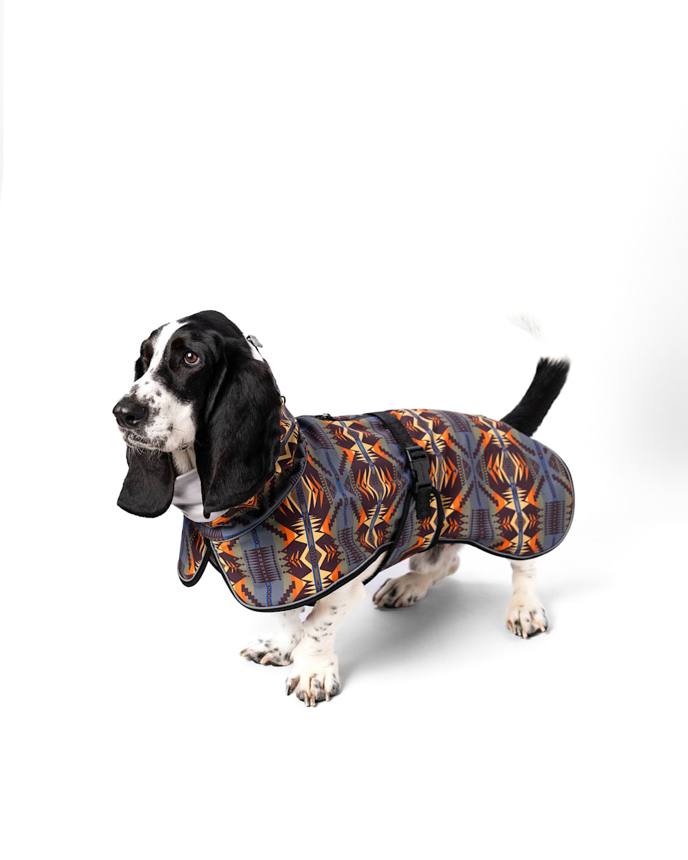 Pendleton Shop Mystic Lake Pet Rain Coat in Pet Accessories