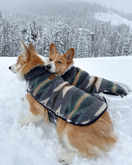 Pendleton Buy Wyeth Trail Pet Coat Warm and Stylish Outdoor Jacket