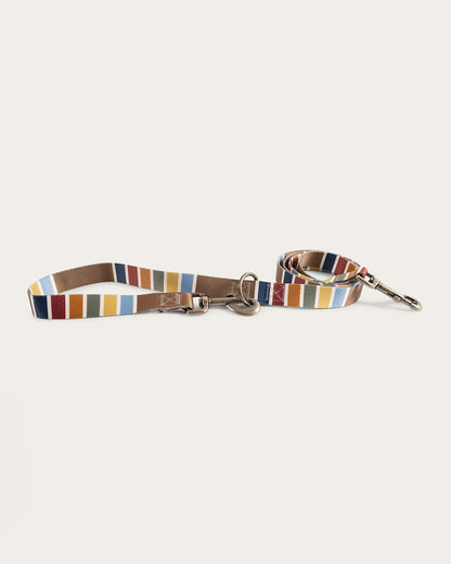 Pendleton Shop Joshua Tree Adventure Leash in Pet Accessories