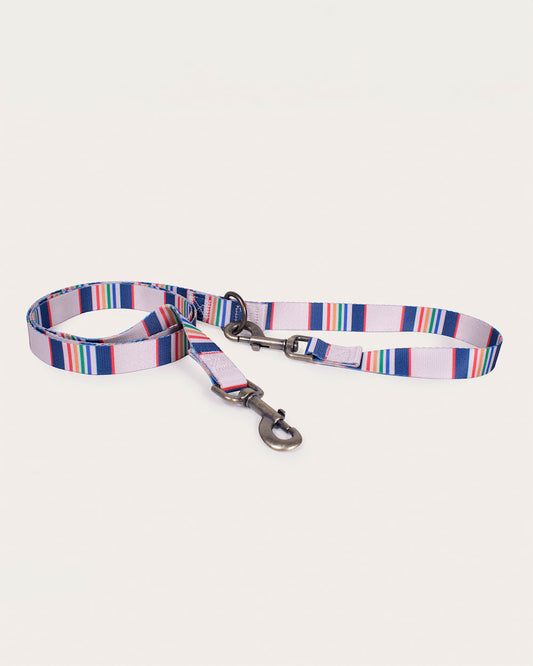 Pendleton Buy The Durable Yellowstone Adventure Leash