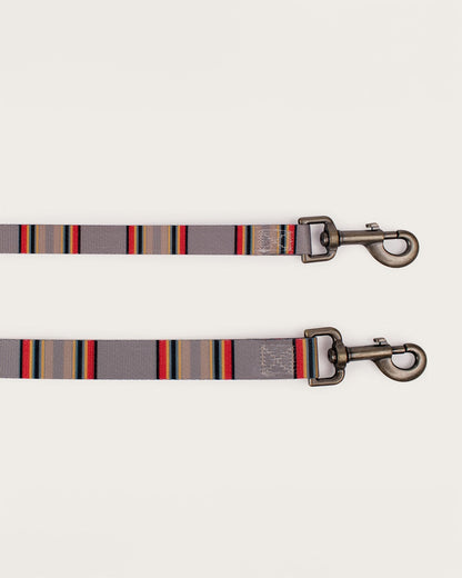 Pendleton Shop Durable, Stylish Yakima Adventure Leashes