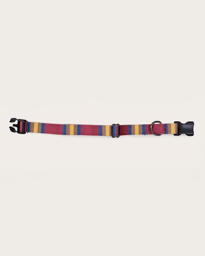 Pendleton Shop Stylish & Durable Zion Adventure Collars