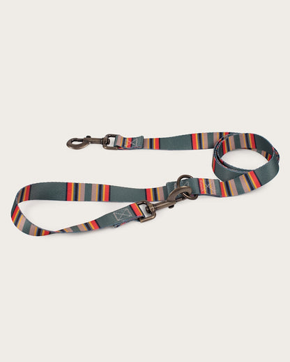 Pendleton Shop Durable, Stylish Yakima Adventure Leashes