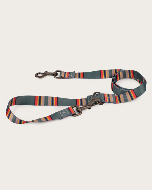 Pendleton Shop Durable, Stylish Yakima Adventure Leashes
