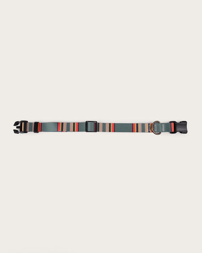 Pendleton Shop Stylish & Durable Yakima Adventure Collars