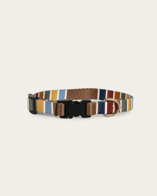 Pendleton Shop Joshua Tree Adventure Collar in Pet Accessories
