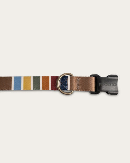 Pendleton Shop Joshua Tree Adventure Collar in Pet Accessories