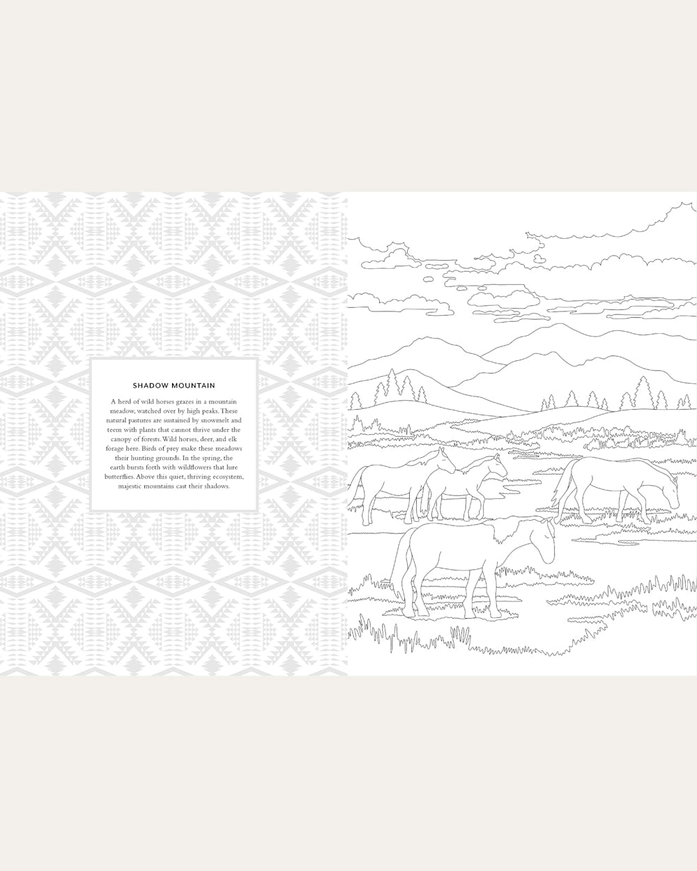 Pendleton Shop The Pendleton Coloring Book With Blanket Designs