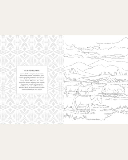 Pendleton Shop The Pendleton Coloring Book With Blanket Designs