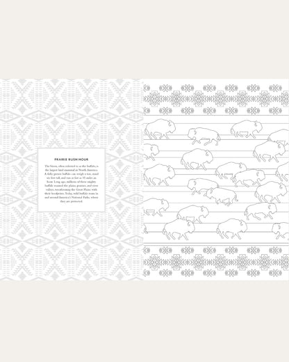 Pendleton Shop The Pendleton Coloring Book With Blanket Designs