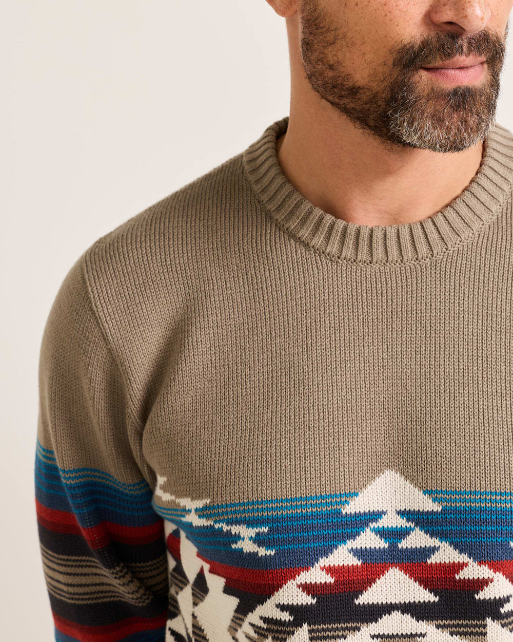 Pendleton Shop Men's Long-Sleeve Bridge Creek Pattern Cotton Sweater