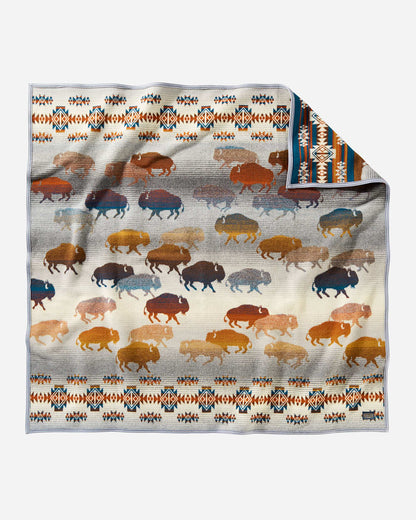 Pendleton Prairie Rush Hour Throw