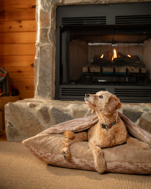 Pendleton Shop Ginger Mesilla Burrow Pet Bed in Pet Accessories