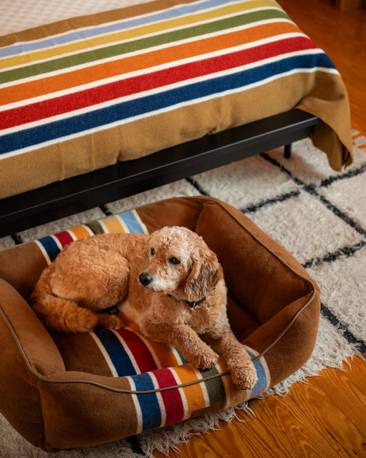 Pendleton Shop Joshua Tree Kuddler Pet Bed in Pet Accessories