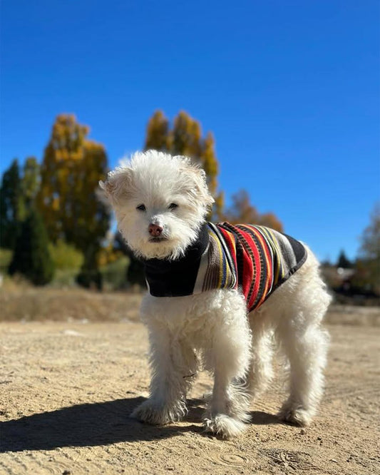 Pendleton Shop Stylish Acadia National Park Pet Vest Now