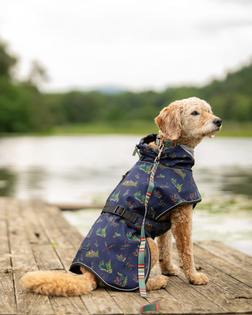 Pendleton Shop Canoe Club Pet Rain Coat in Pet Accessories