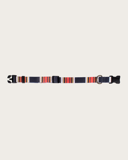 Pendleton Shop Stylish, Durable Acadia Adventure Collars