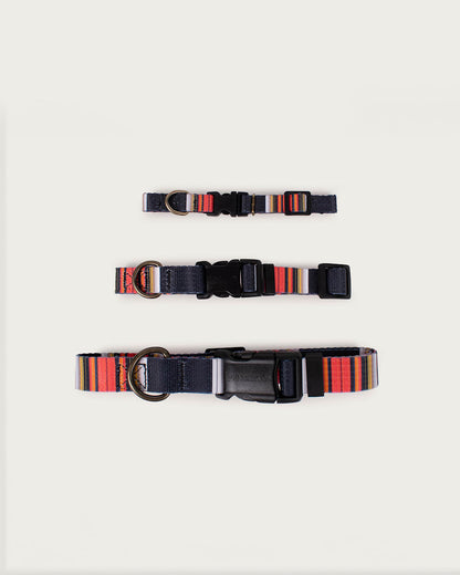 Pendleton Shop Stylish, Durable Acadia Adventure Collars