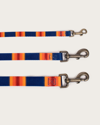 Pendleton Shop Stylish Grand Canyon Adventure Leashes