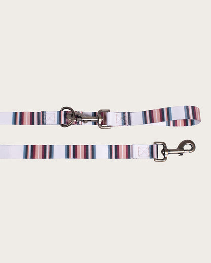 Pendleton Buy Serape Adventure Leash Colorful and Sturdy Dog Leash