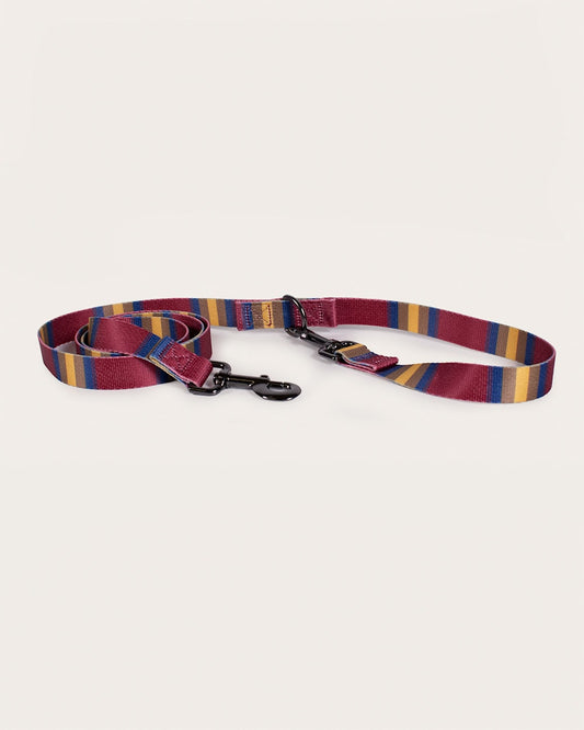Pendleton Shop Stylish, Durable Zion Adventure Leashes