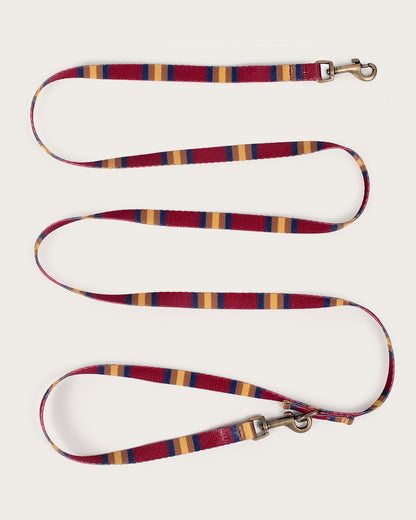 Pendleton Shop Stylish, Durable Zion Adventure Leashes