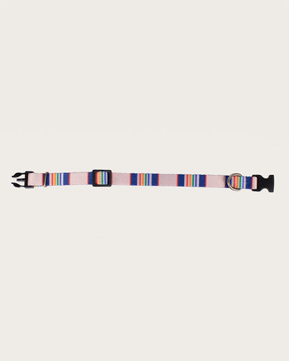 Pendleton Shop Stylish Yellowstone Adventure Collars