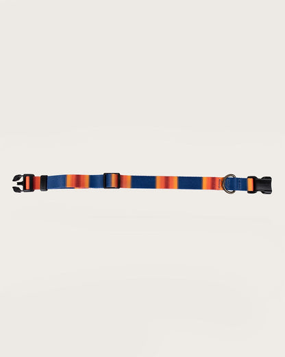 Pendleton Shop Stylish Grand Canyon Adventure Collars