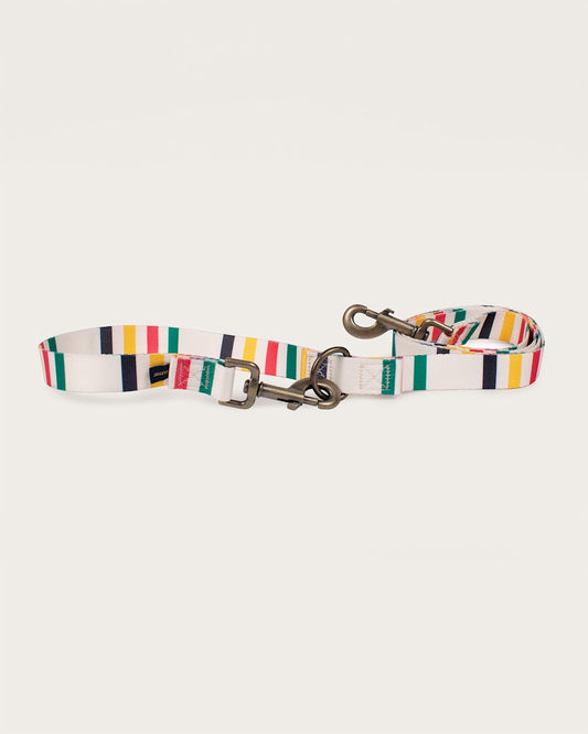 Pendleton Buy The Stylish Glacier Adventure Leash
