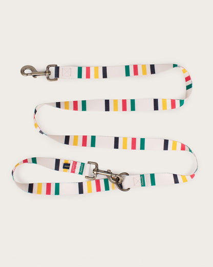 Pendleton Buy The Stylish Glacier Adventure Leash