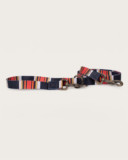 Pendleton Buy The Stylish Acadia Adventure Leash