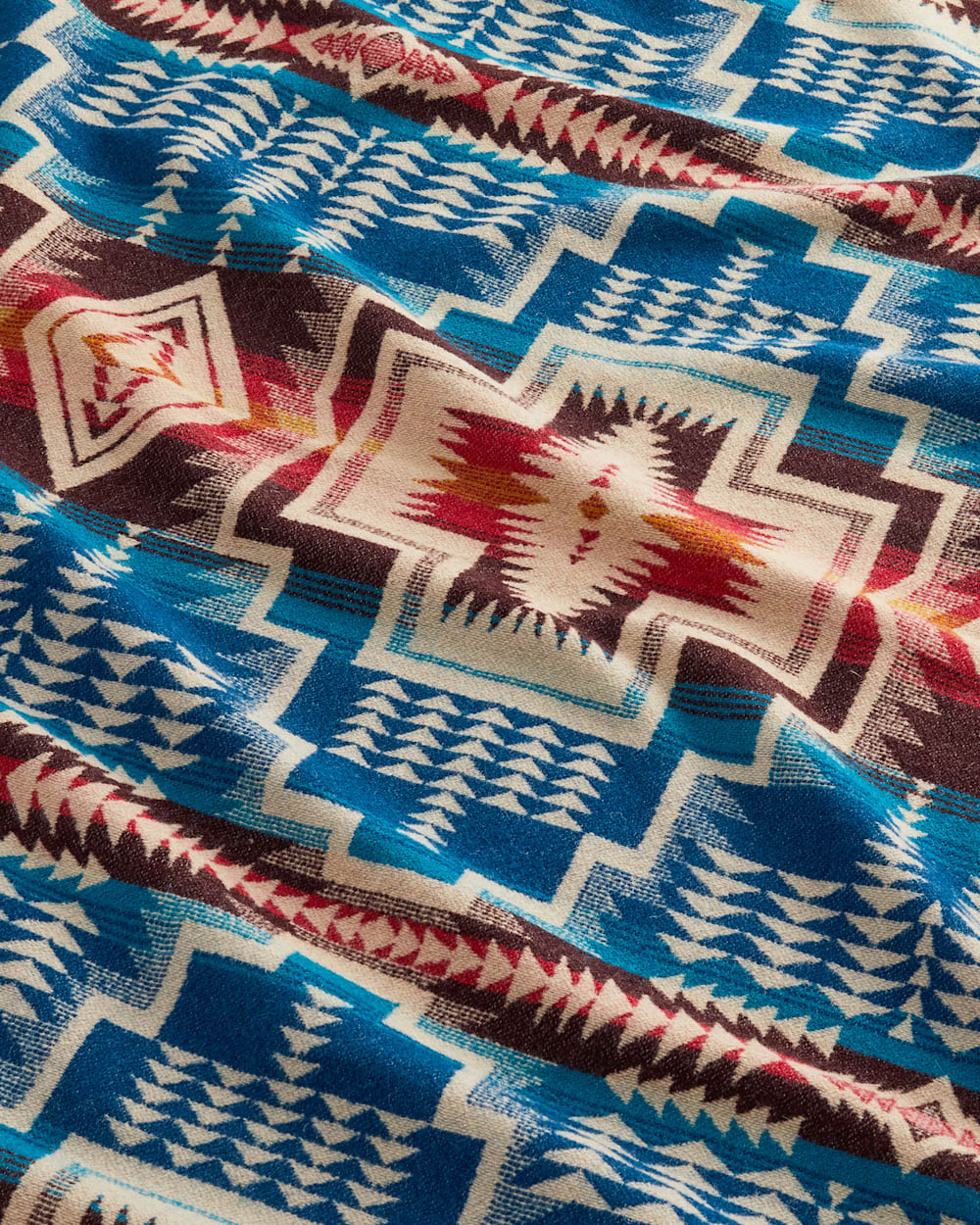 Pendleton Cozy Up with Harding Star Fringed Throw