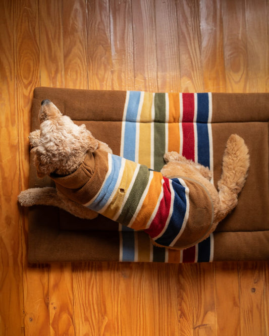 Pendleton Shop Joshua Tree Comfort Cushion Bed in Pet Accessories